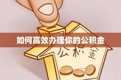 交城如何高效办理你的公积金