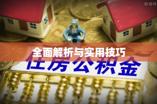 交城全面解析与实用技巧