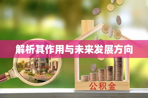 交城解析其作用与未来发展方向